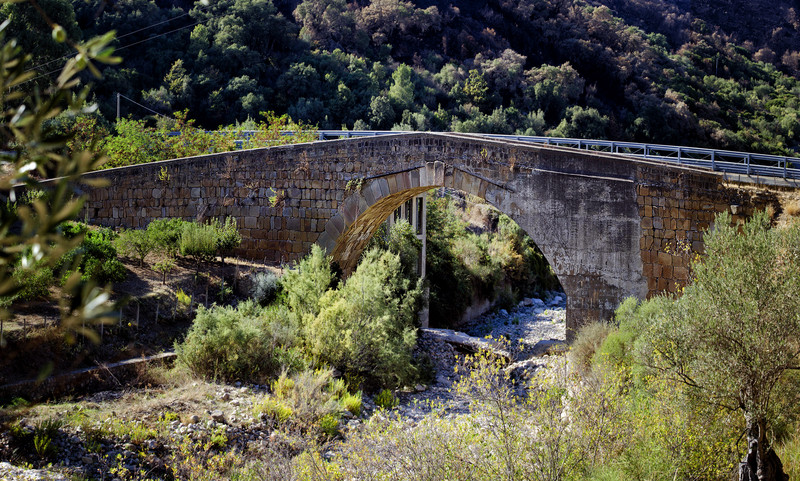 ''I paroli su comu i cirasi, una nesci e n’autra trasi'' - Pettineo