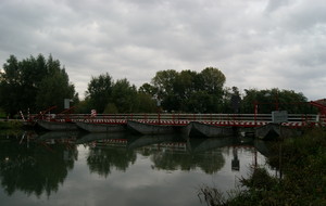 Troppi galli nel pollaio dopo un po’ si beccano