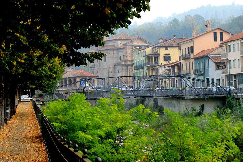 ''Quasi autunno'' - Dogliani