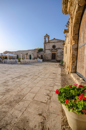 152566-529x800 152566-529x800