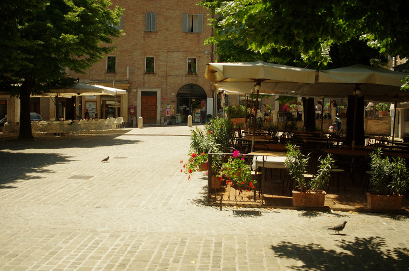 ''… oggi è caldo … la salita è dura … mi fermo in piazza  all’ombra …'' - Urbino