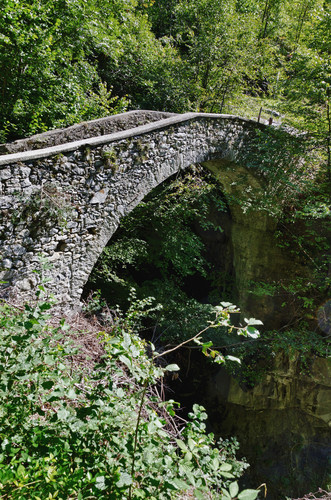 154971-529x800 154971-529x800