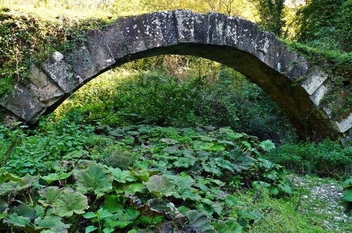 155228-800x530 155228-800x530