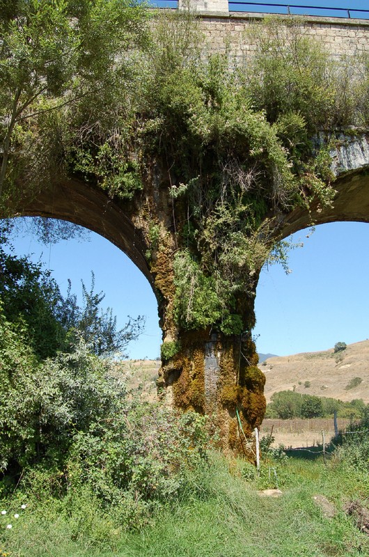 ''La natura che vuole riappriopriarsi dei suoi spazi …'' - Atella