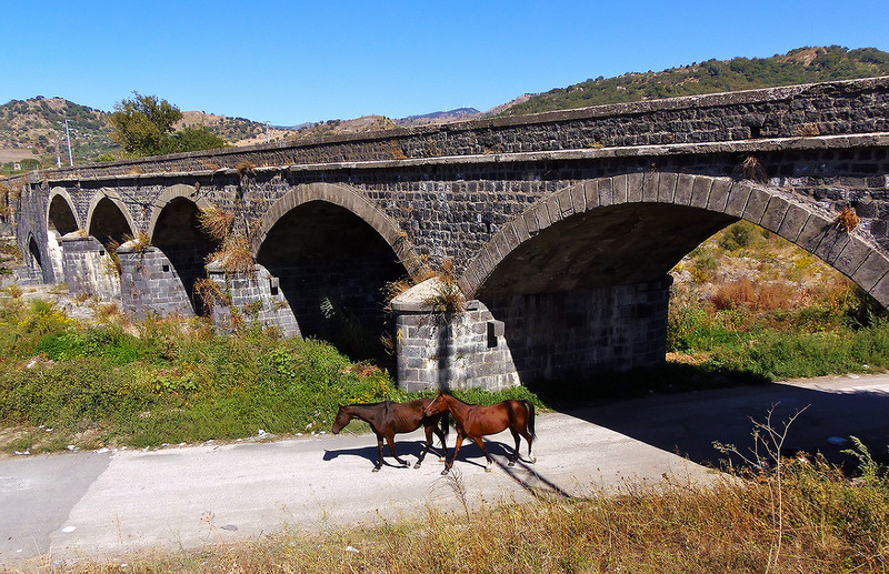 ''Cavalli a passeggio'' - Castiglione di Sicilia
