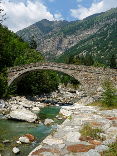 156677-600x800 156677-600x800