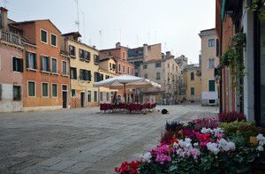 Un fiore per gli amici