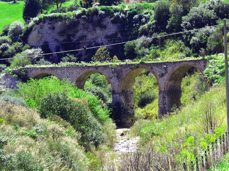 ''Sul fiume Salso'' - Nicosia