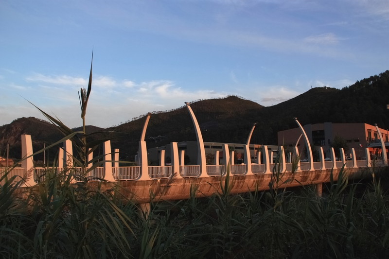 ''Tappeto di canne'' - Casarza Ligure