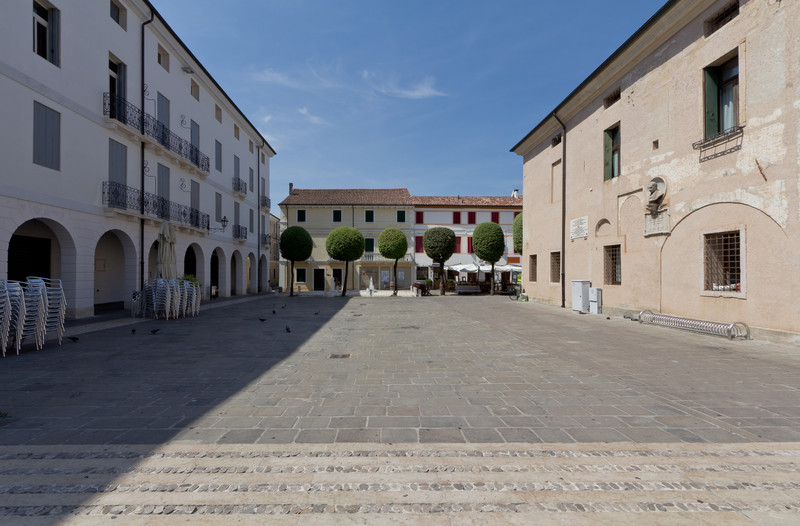 ''5 alberi e 1/2'' - Cittadella