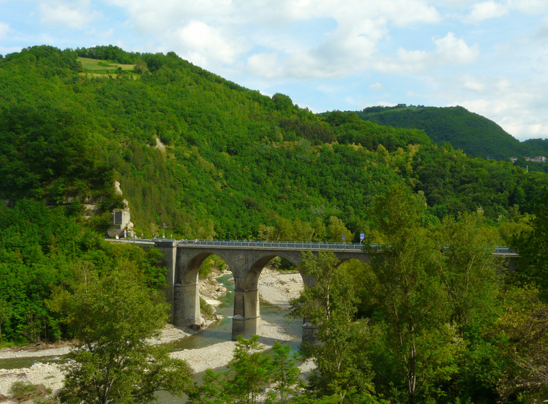 ''Nel verde'' - Vetto