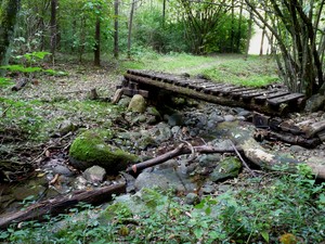 Nel parco lo  Scivescia