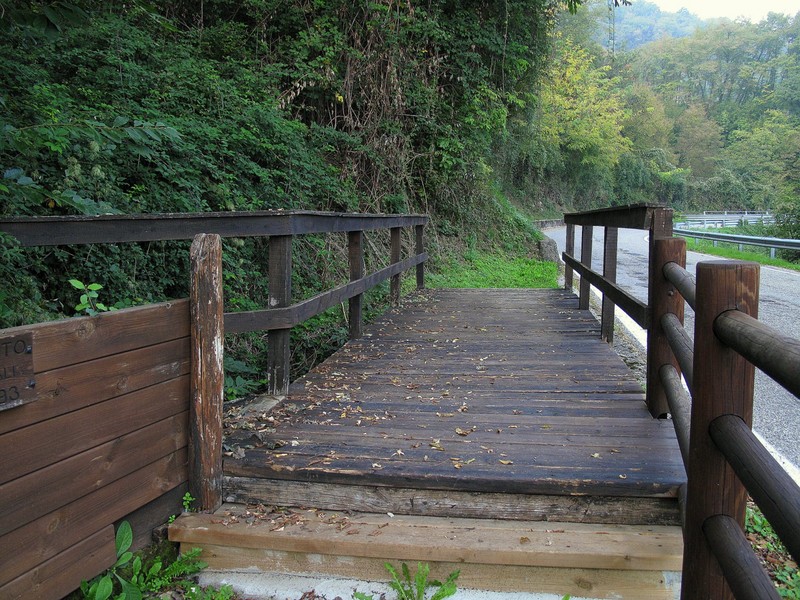 ''Nei pressi del Buso della Rana.'' - Monte di Malo