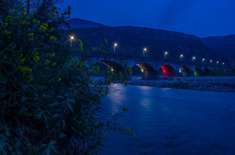 ''Topinambur'' - Raveo