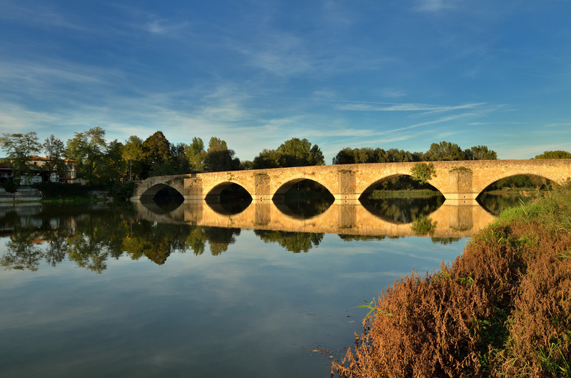 ''La riva selvaggia'' - Arezzo