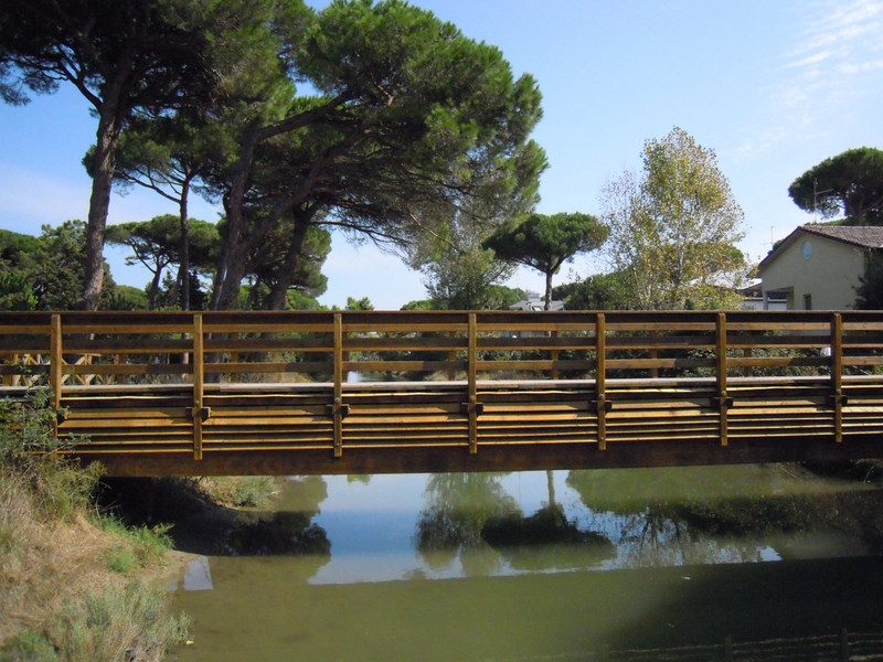 ''Tra i pini di Milano Marittima'' - Cervia