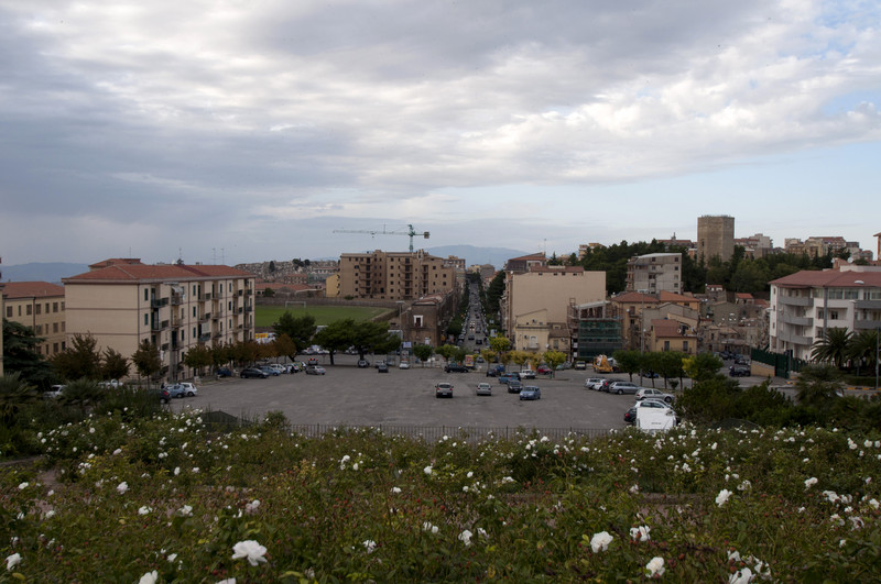 ''Rose…..al passaggio degli stormi'' - Enna