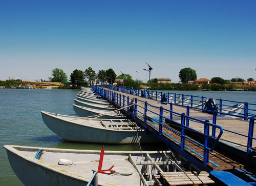 161161-800x581 161161-800x581