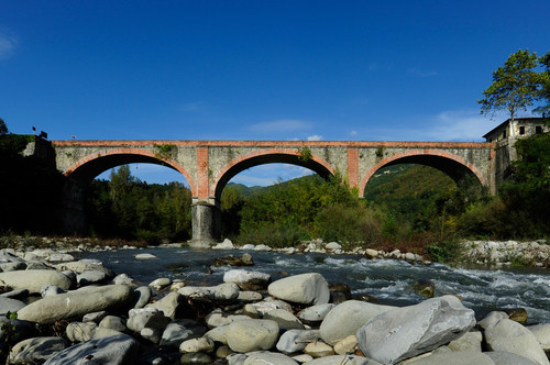 162377-800x532 162377-800x532