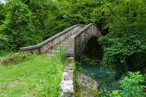 162704-800x535 162704-800x535