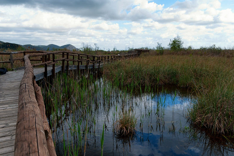 ''Dalla caccia al bird watching'' - Massarosa
