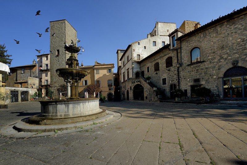 ''Vieni a vedere quanti volatili in questa piazza'' - Viterbo