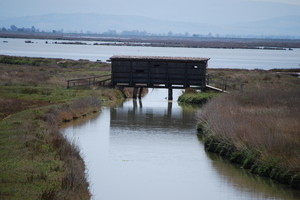 Ponte coperto