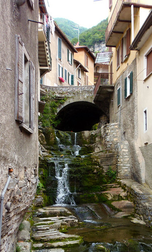 164655-482x800 164655-482x800