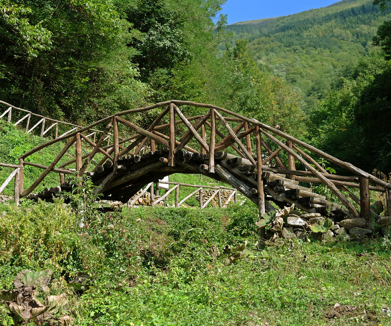 ''nel sentiero per il mulino'' - Pistoia