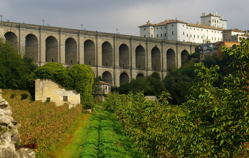 ''Tra filari di vigna spunta maestoso Lui'' - Ariccia
