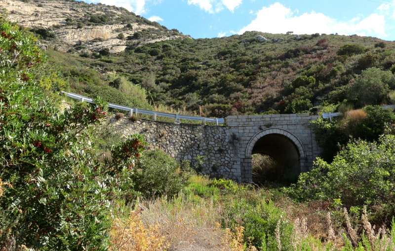 ''Camminando verso il mare'' - Campo nell'Elba
