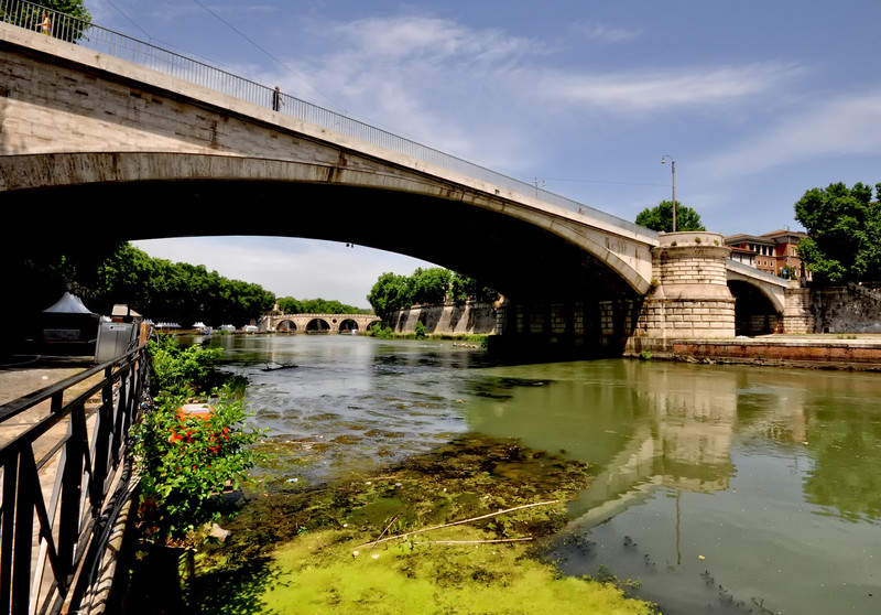 ''verde galleggiante sotto un ponte'' - Roma