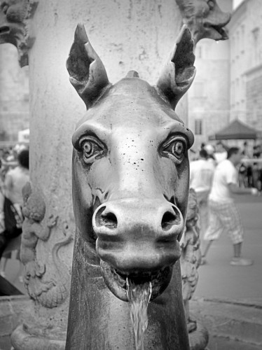 Ascoli Piceno - Espressione da contest istantaneo Ascoli Piceno - Espressione da contest istantaneo