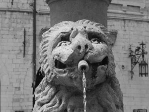 particolare di fontana, Assisi