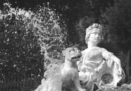 Pescia - "trionfo d'acqua" Pescia - "trionfo d'acqua"