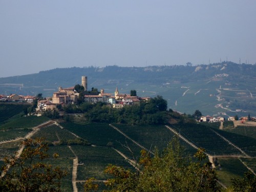 Castiglione Falletto - Castiglione Faletto Castiglione Falletto - Castiglione Faletto