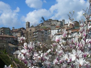 Primavera a Canepina