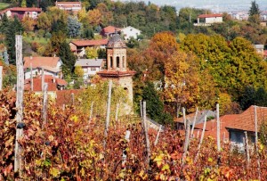 I colori dell’autunno sulla collina di MANTA di Saluzzo