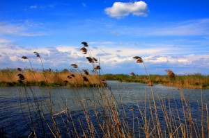 parco del mincio a Grazie
