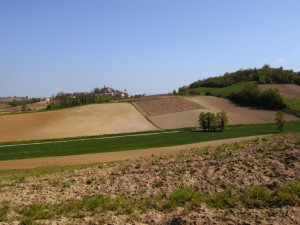 Sala Monferrato