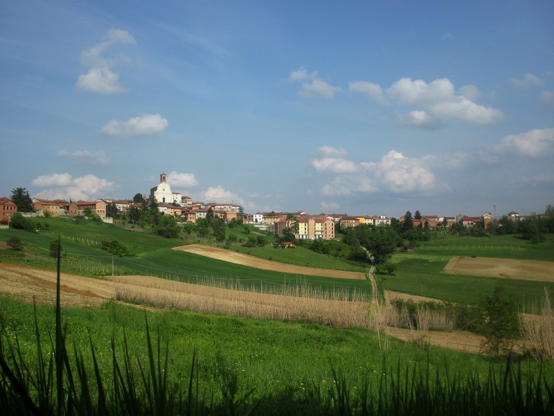''Sulle verdi colline del Monferrato'' - Grana