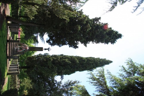 Vasanello - Vasanello ricorda i suoi caduti