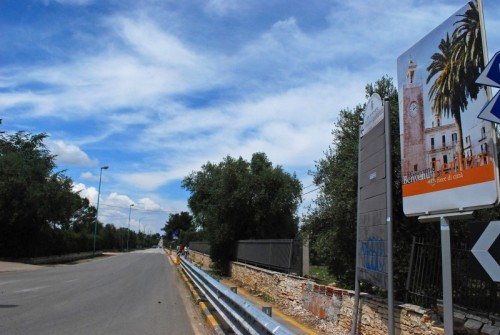 Terlizzi - Terlizzi: Benvenuti fiore di città Terlizzi - Terlizzi: Benvenuti fiore di città