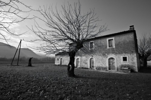 San Giovanni Incarico - PODERE A SAN GIOVANNI INCARICO San Giovanni Incarico - PODERE A SAN GIOVANNI INCARICO