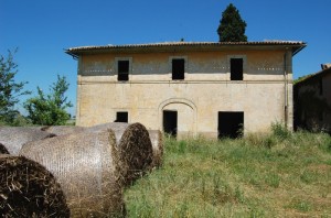 Paglia legata…rabbia passata