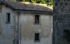 Borgo principale N° 1, il guardiano .