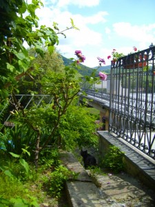 Perchè scappi? Non mi fai inquadrare il belvedere!