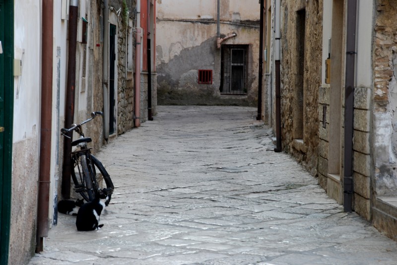 ''A guardia della bici nuova'' - Fondi