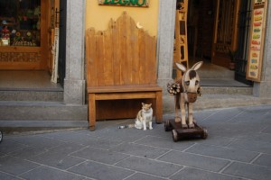 Il micio e l’asinello a guardia del negozio