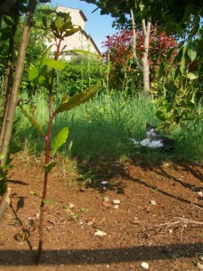 Scatta pure con comodo la foto ,tanto io da qui nn mi muovo..!!